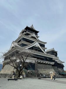 野球