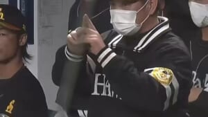 NPB