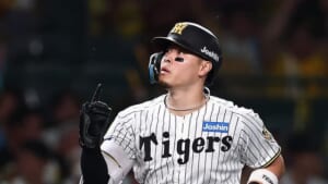 NPB