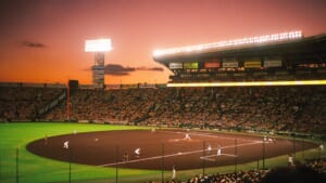 NPB