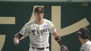 NPB